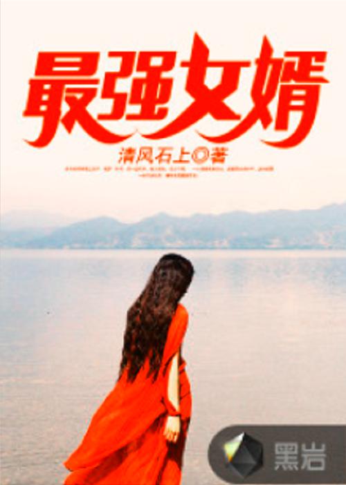 最强女婿小说阅读
