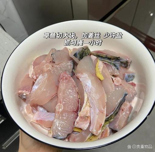 鱼炸碎了怎么补救图标
