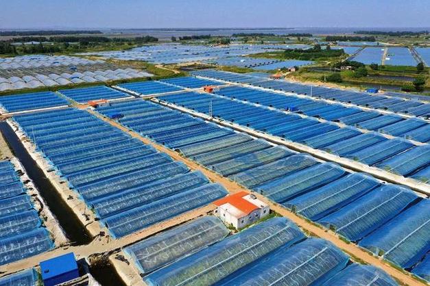 世界农场养虾赚钱真的吗缩略图