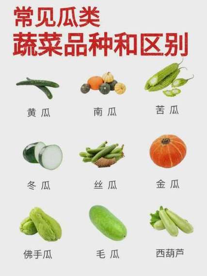 各种瓜类图片和名称缩略图