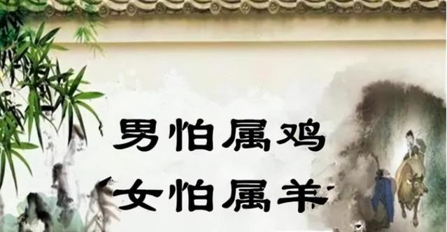 男人说羊暗示啥意思缩略图