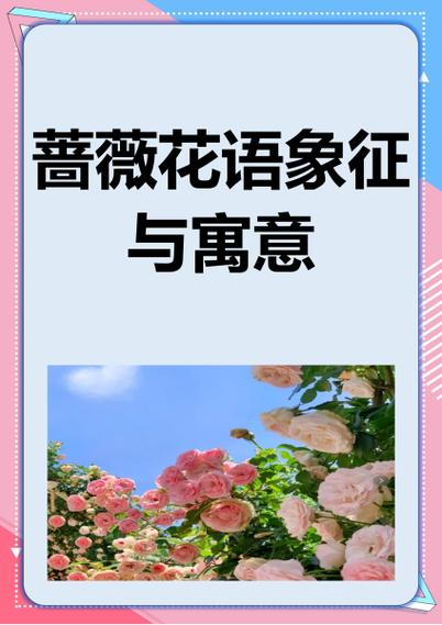 蔷薇花在玄学里的寓意和象征