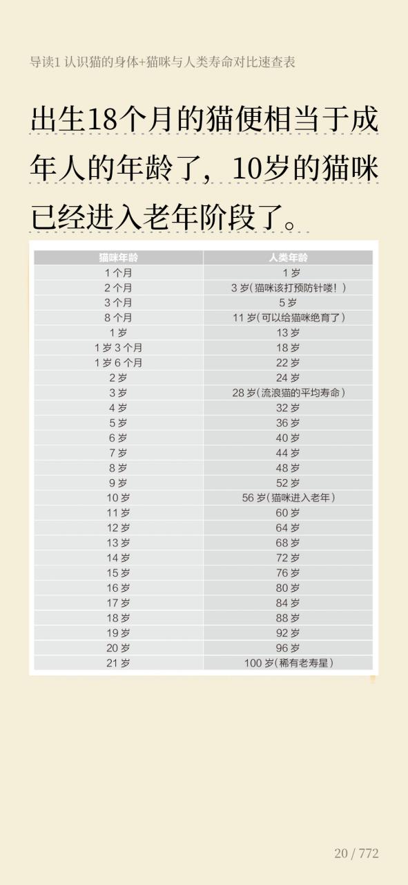 猫的寿命缩略图