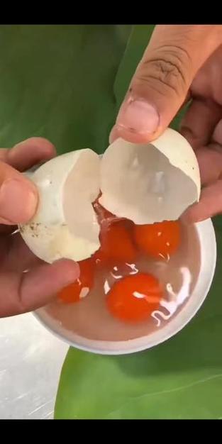 青皮鸭蛋的外观特征
