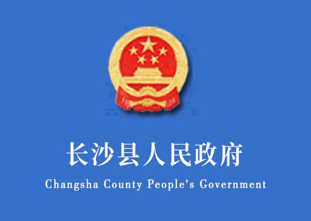 政府一般用什么字体图标