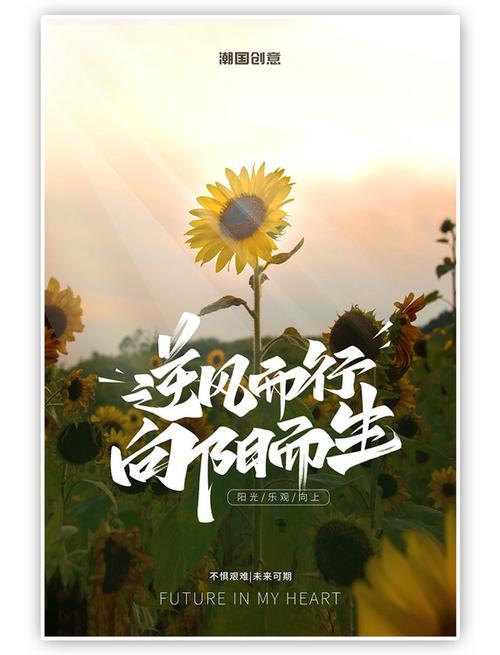 王鹤棣的逆袭之路缩略图
