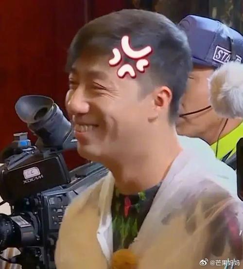 极限挑战换人严敏