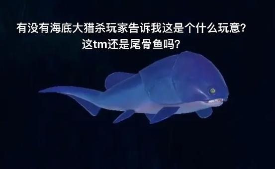 海底大猎杀缩略图