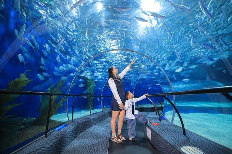 海洋奇幻馆缩略图