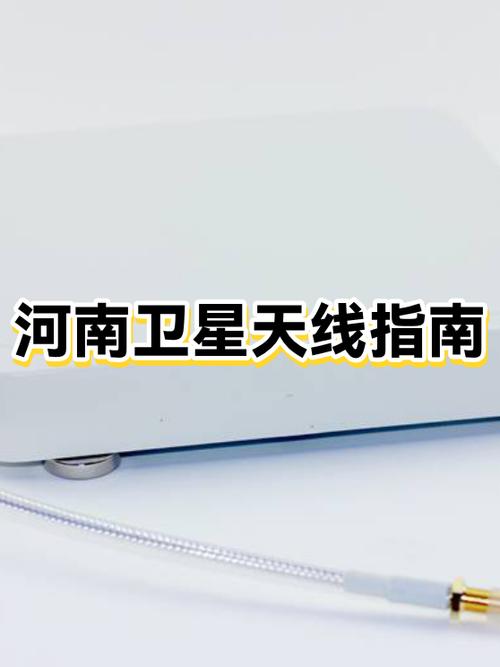 电视锅用哪个卫星游戏截图