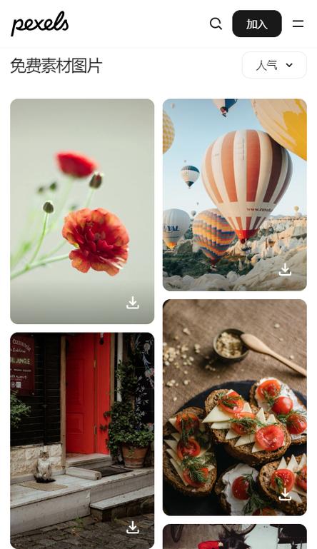 pexel视频素材网站缩略图