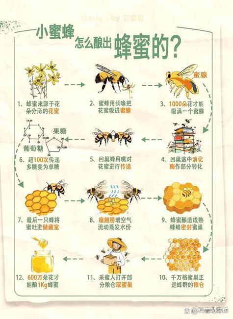 蜜蜂采蜜的步骤缩略图