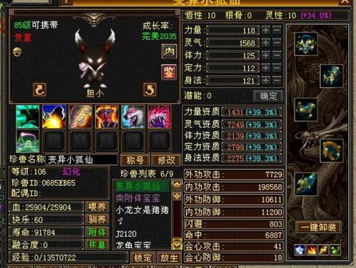 天龙八部宝宝提悟性的技巧缩略图