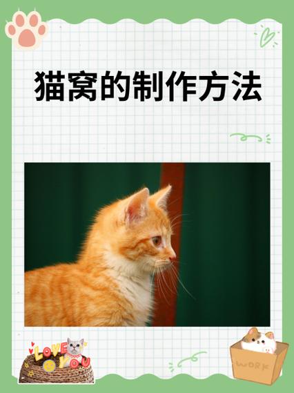 猫套脖制作教程缩略图