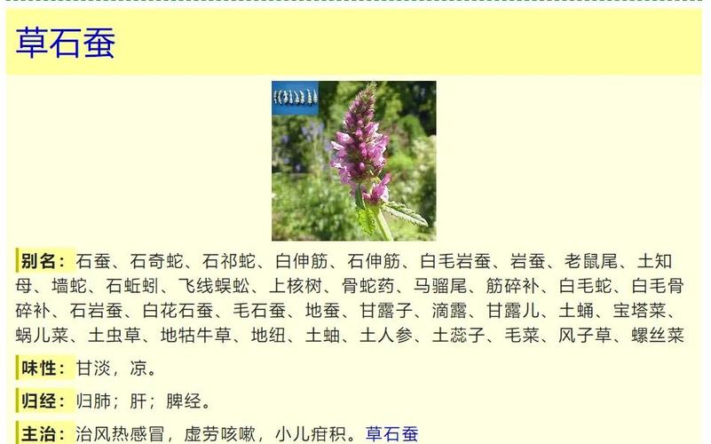 中国中药网站缩略图