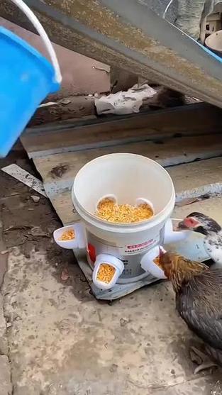 养鸡自动喂食器缩略图