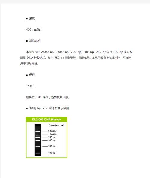 2019 青千 面试