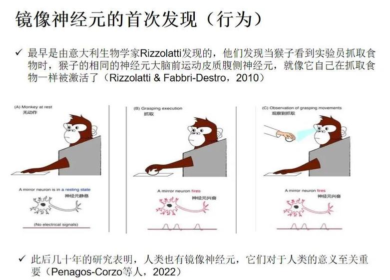 玩galgame是性取向心理吗?