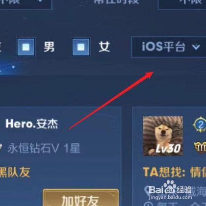 王者荣耀查询别人个人信息图标
