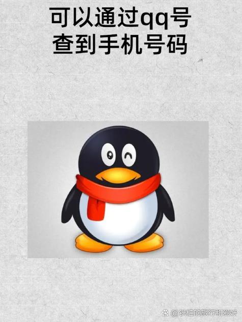 用qq号查找对方电话