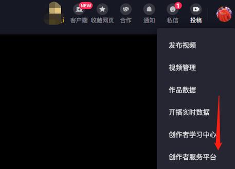 抖音2024年所有旧版本游戏截图