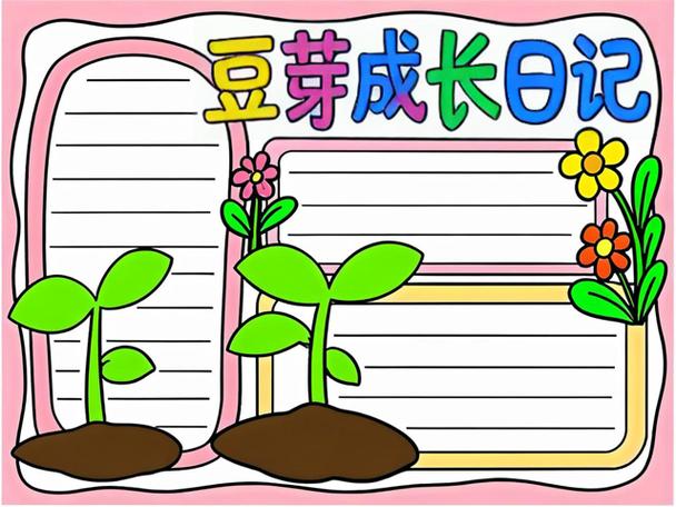 种子变成植物的过程