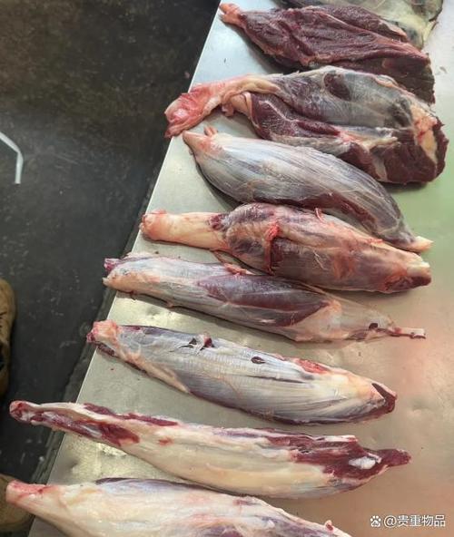野兔肉和牛肉哪个好游戏截图