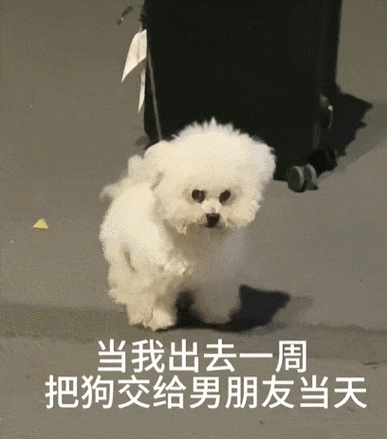 恋恋靠谱吗图标