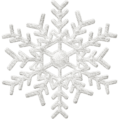 雪花交友是哪个软件图标