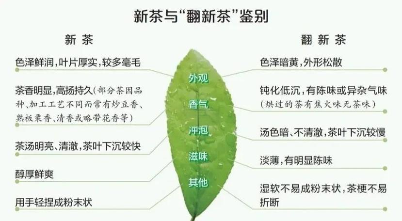 新茶好喝还是旧茶好喝缩略图