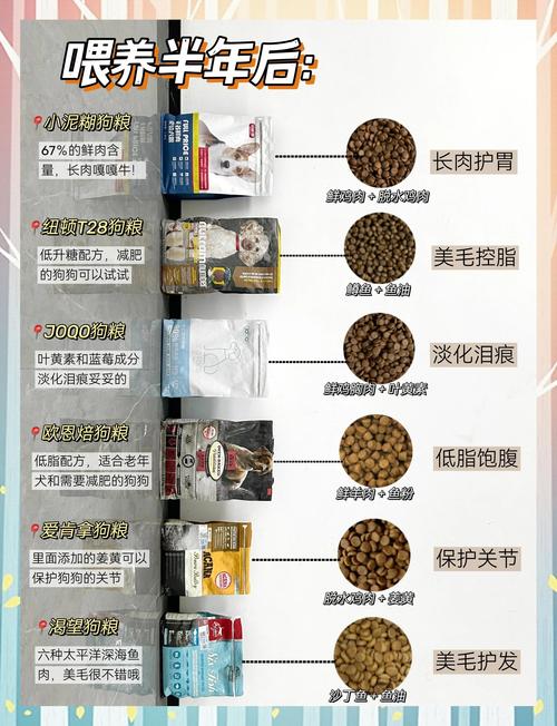 肥波狗粮到底好不好