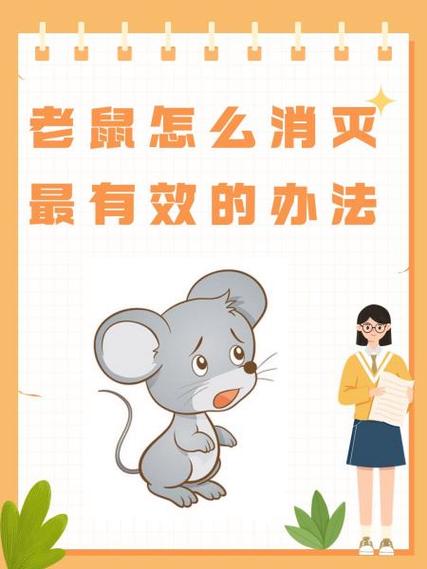 灭老鼠最有效的方法有哪些?