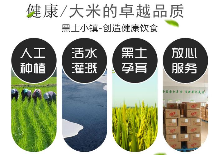 五常大米广告宣传语图标