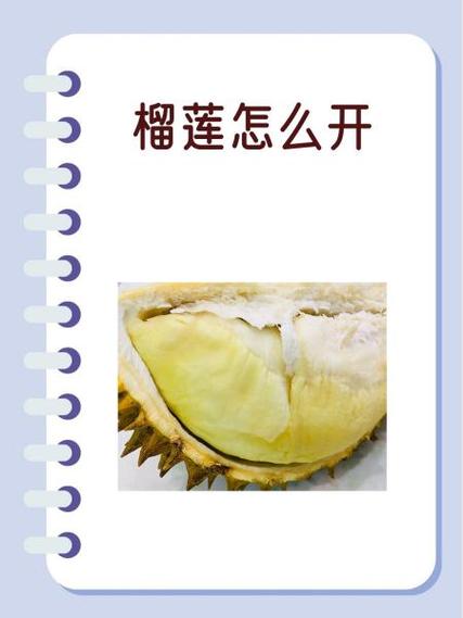 榴莲怎么开图标