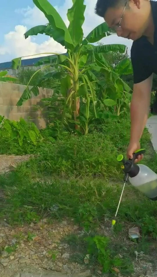 超哥除草最新版游戏截图