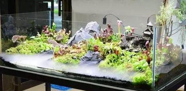 水族论坛缩略图