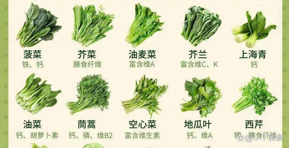 油麦菜和油菜哪个好