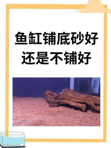 鱼缸铺底砂还是裸缸好缩略图