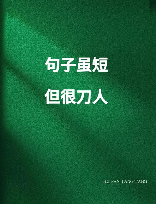 骂人滚刀语录mp3缩略图