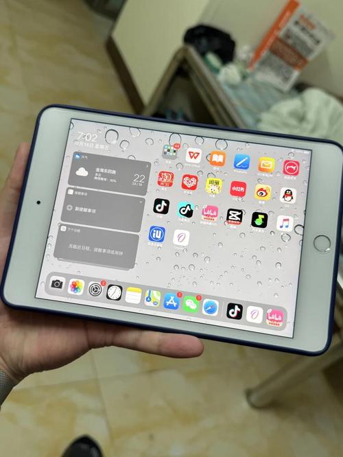 mini5是lcd屏幕还是oled游戏截图