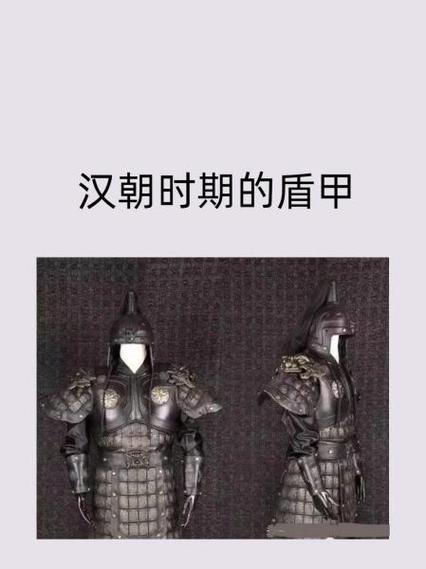 魏盾用藤甲还是陷阵缩略图