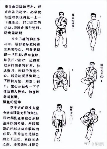 空手道介绍
