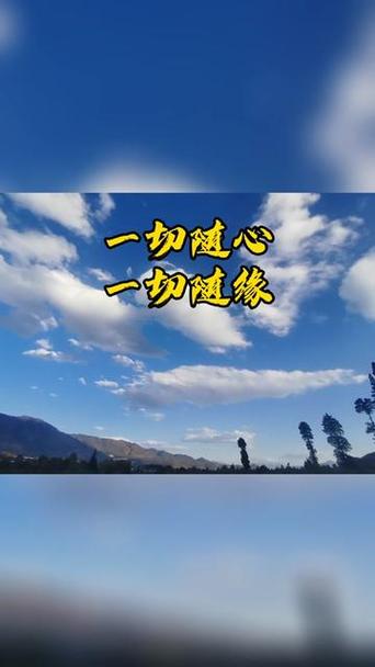 随心随性随喜下一句缩略图