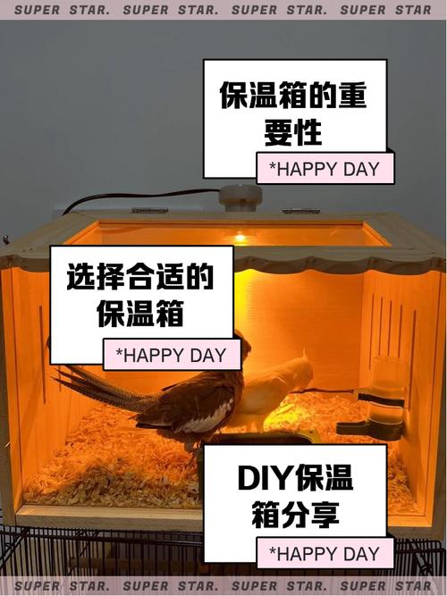 鹦鹉保温箱的10大忌