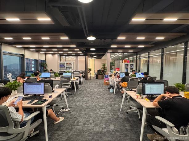 深圳宝掌科技有限公司图标