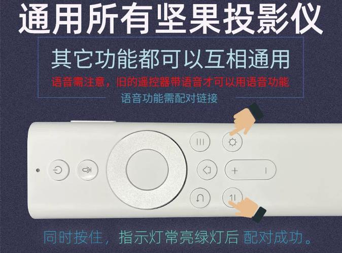 坚果投影仪突然有声音游戏截图