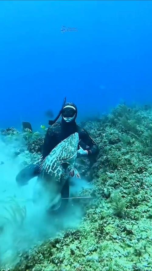 海底捕鱼缩略图