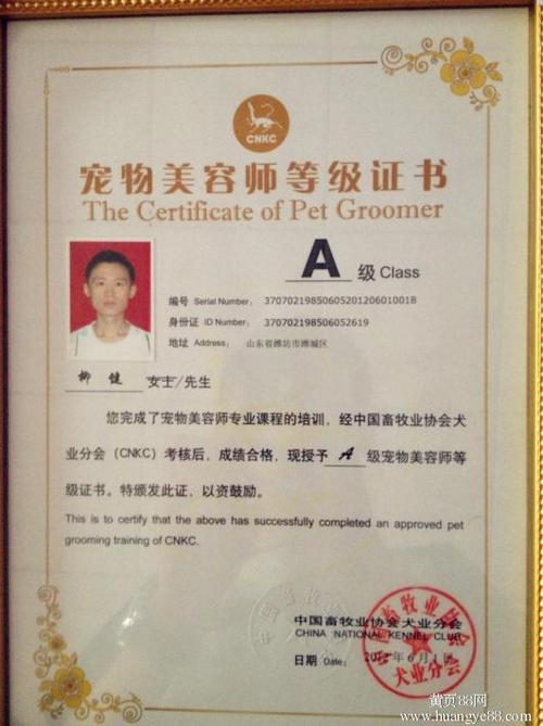 宠物美容师证怎么考图标