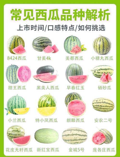 西瓜极速版多少金币等于1元缩略图