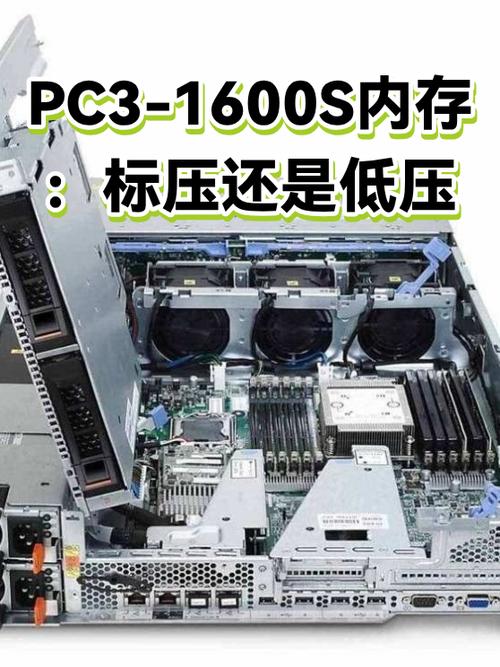 低压内存和标压内存区别缩略图